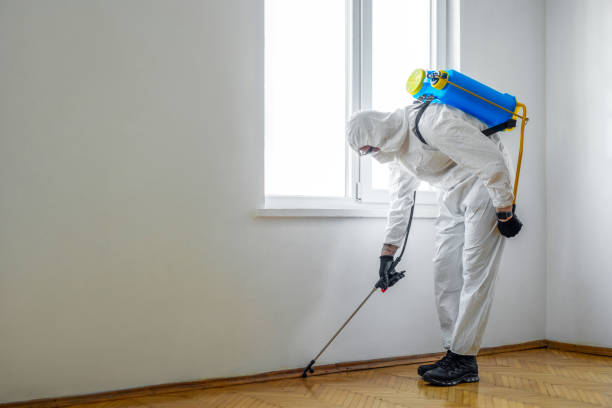 Best Pest Prevention Services  in Boonville, IN